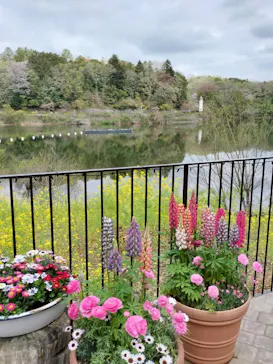 ムーミンバレーパークに投稿された画像（2026/4/6）