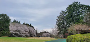 International Series Japanに投稿された画像（2026/4/6）