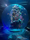 AQUARIUM × ART　atoaに投稿された画像（2026/4/7）