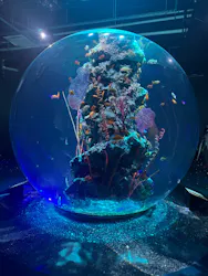 AQUARIUM × ART　atoaに投稿された画像（2026/4/6）