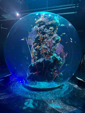 AQUARIUM × ART　atoaに投稿された画像（2026/4/6）