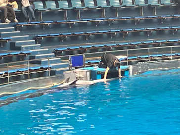 マクセル アクアパーク品川に投稿された画像（2026/4/6）