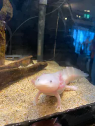 しながわ水族館に投稿された画像（2026/4/7）