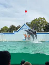 しながわ水族館に投稿された画像（2026/4/7）