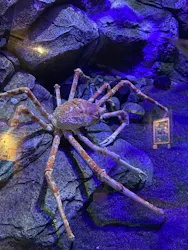 しながわ水族館に投稿された画像（2026/4/7）