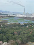 国営ひたち海浜公園プレジャーガーデンに投稿された画像（2026/4/7）
