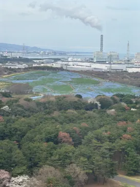 国営ひたち海浜公園プレジャーガーデンに投稿された画像（2026/4/7）