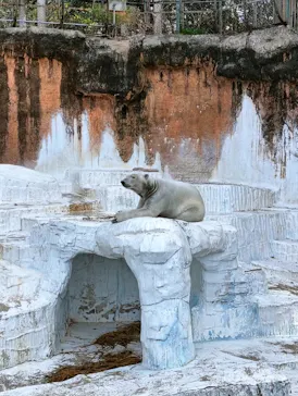 天王寺動物園に投稿された画像（2026/4/7）