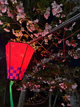 大阪城公園 西の丸庭園に投稿された画像（2026/4/7）