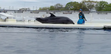 京都水族館に投稿された画像（2026/4/7）