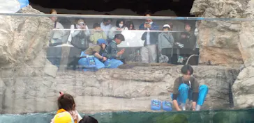 京都水族館に投稿された画像（2026/4/7）