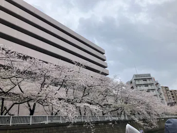 東京ウォータウェイズに投稿された画像（2026/4/7）