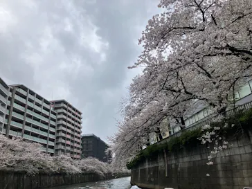 東京ウォータウェイズに投稿された画像（2026/4/7）