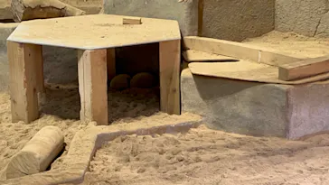 NIFREL（ニフレル）に投稿された画像（2026/4/7）