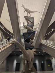 福井県立恐竜博物館に投稿された画像（2026/4/7）