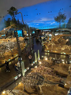 福井県立恐竜博物館に投稿された画像（2026/4/7）