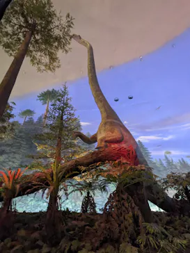 福井県立恐竜博物館に投稿された画像（2026/4/7）