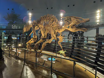 福井県立恐竜博物館に投稿された画像（2026/4/7）
