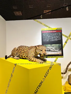 特別展「超危険生物展　科学で挑む生き物の本気」に投稿された画像（2026/4/7）