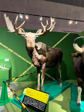 特別展「超危険生物展　科学で挑む生き物の本気」に投稿された画像（2026/4/7）