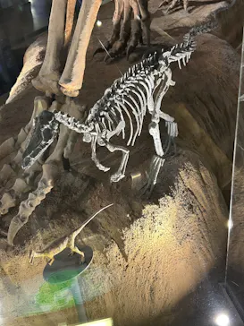 福井県立恐竜博物館に投稿された画像（2026/4/7）
