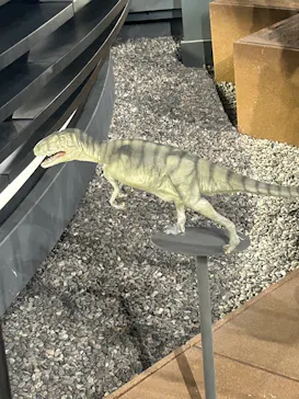 福井県立恐竜博物館に投稿された画像（2026/4/7）