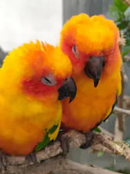 掛川花鳥園に投稿された画像（2026/4/7）