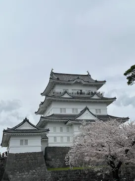 小田原城に投稿された画像（2026/4/7）