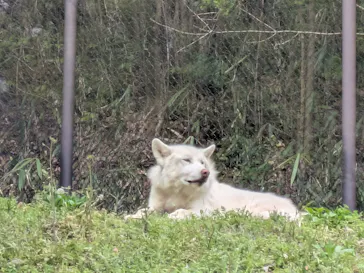 名古屋市東山動植物園に投稿された画像（2026/4/7）