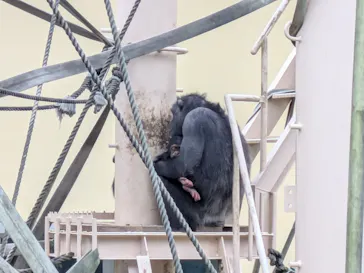 名古屋市東山動植物園に投稿された画像（2026/4/7）