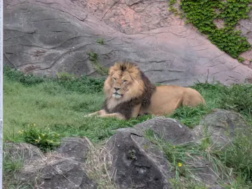 名古屋市東山動植物園に投稿された画像（2026/4/7）