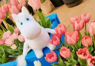 ムーミンバレーパークに投稿された画像（2026/4/7）