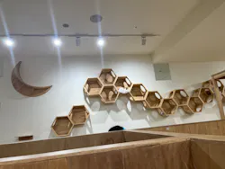 Cat Café MOFF 枚方モール店に投稿された画像（2026/4/7）
