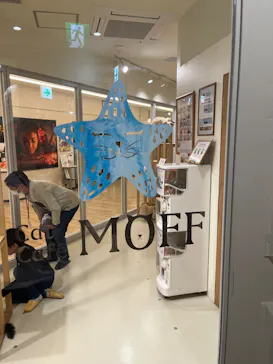 Cat Café MOFF 枚方モール店に投稿された画像（2026/4/7）