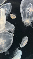 仙台うみの杜水族館に投稿された画像（2026/4/7）