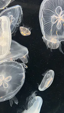 仙台うみの杜水族館に投稿された画像（2026/4/7）