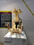 特別展「超危険生物展　科学で挑む生き物の本気」に投稿された画像（2026/4/7）