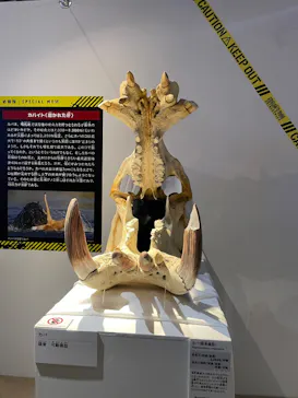特別展「超危険生物展　科学で挑む生き物の本気」に投稿された画像（2026/4/7）