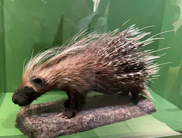 特別展「超危険生物展　科学で挑む生き物の本気」に投稿された画像（2026/4/7）