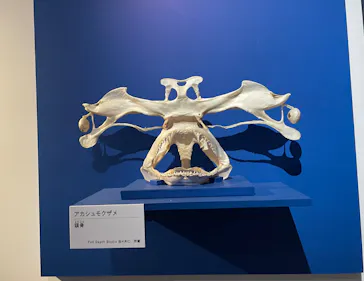 特別展「超危険生物展　科学で挑む生き物の本気」に投稿された画像（2026/4/7）