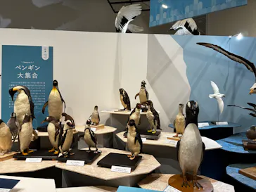 特別展「鳥 ～ゲノム解析が解き明かす新しい鳥類の系統～」に投稿された画像（2026/4/7）