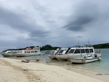 川平マリンサービスに投稿された画像（2026/4/7）