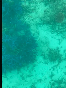 川平マリンサービスに投稿された画像（2026/4/7）