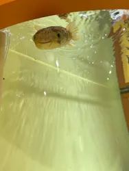 サンシャイン水族館に投稿された画像（2026/4/7）