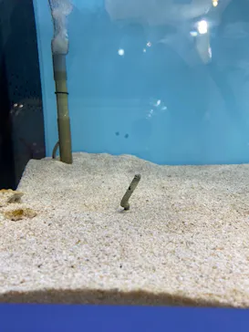サンシャイン水族館に投稿された画像（2026/4/7）