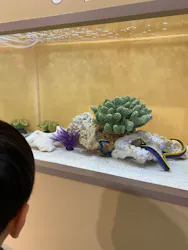 サンシャイン水族館に投稿された画像（2026/4/7）