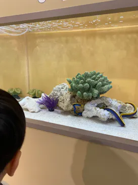 サンシャイン水族館に投稿された画像（2026/4/7）