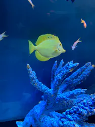 サンシャイン水族館に投稿された画像（2026/4/7）