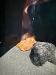 サンシャイン水族館に投稿された画像（2026/4/7）