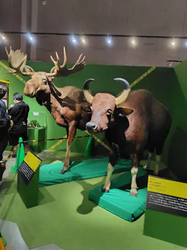 特別展「超危険生物展　科学で挑む生き物の本気」に投稿された画像（2026/4/7）